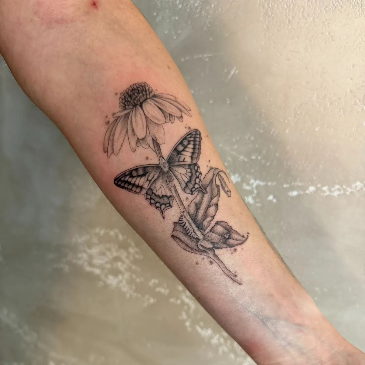 vany_ragequit_tattoo_zürich_018.webp - Image of Vany, Artist at Ragequit Tattoo Piercing Zurich