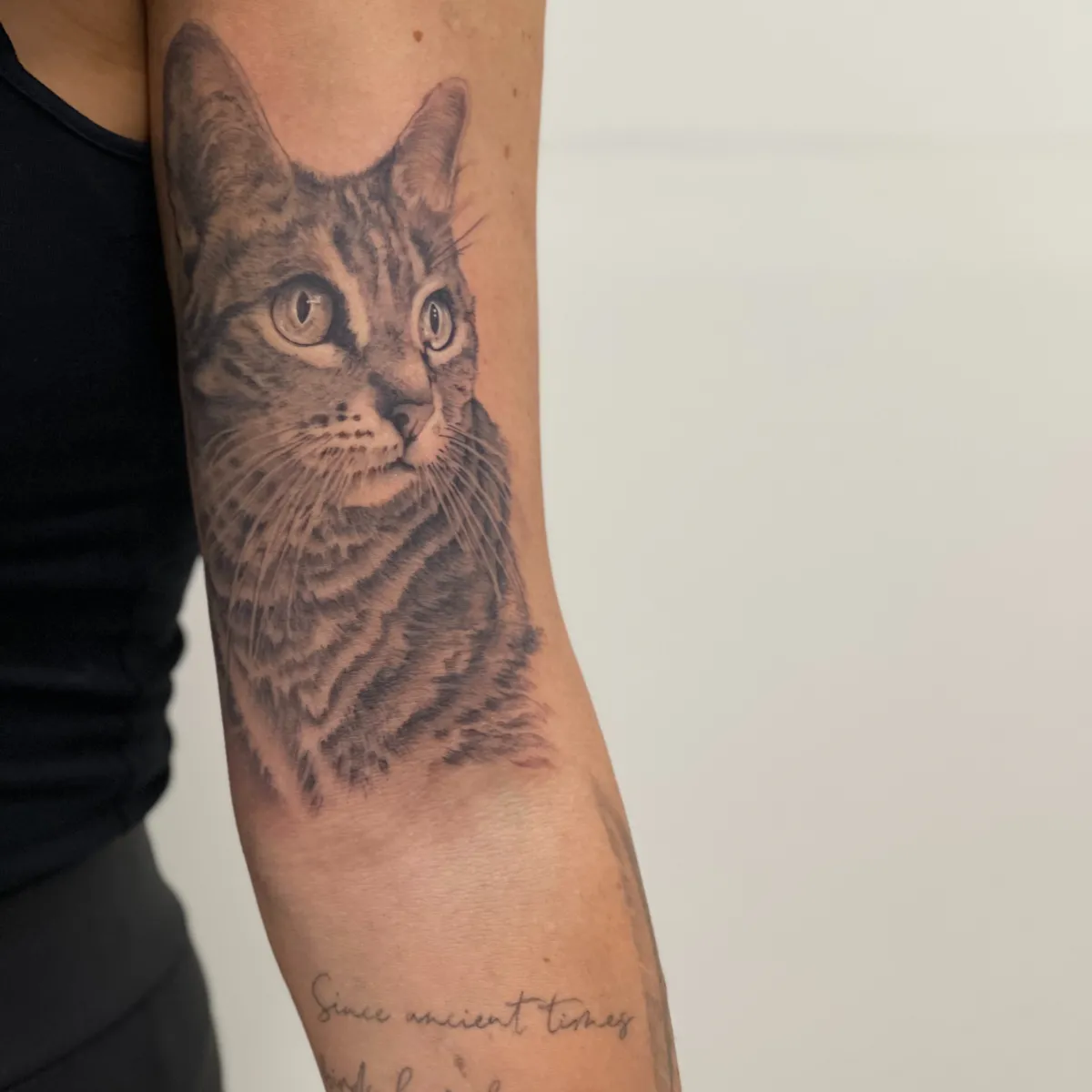 vany_ragequit_tattoo_zürich_036.webp - Image of Vany, Artist at Ragequit Tattoo Piercing Zurich